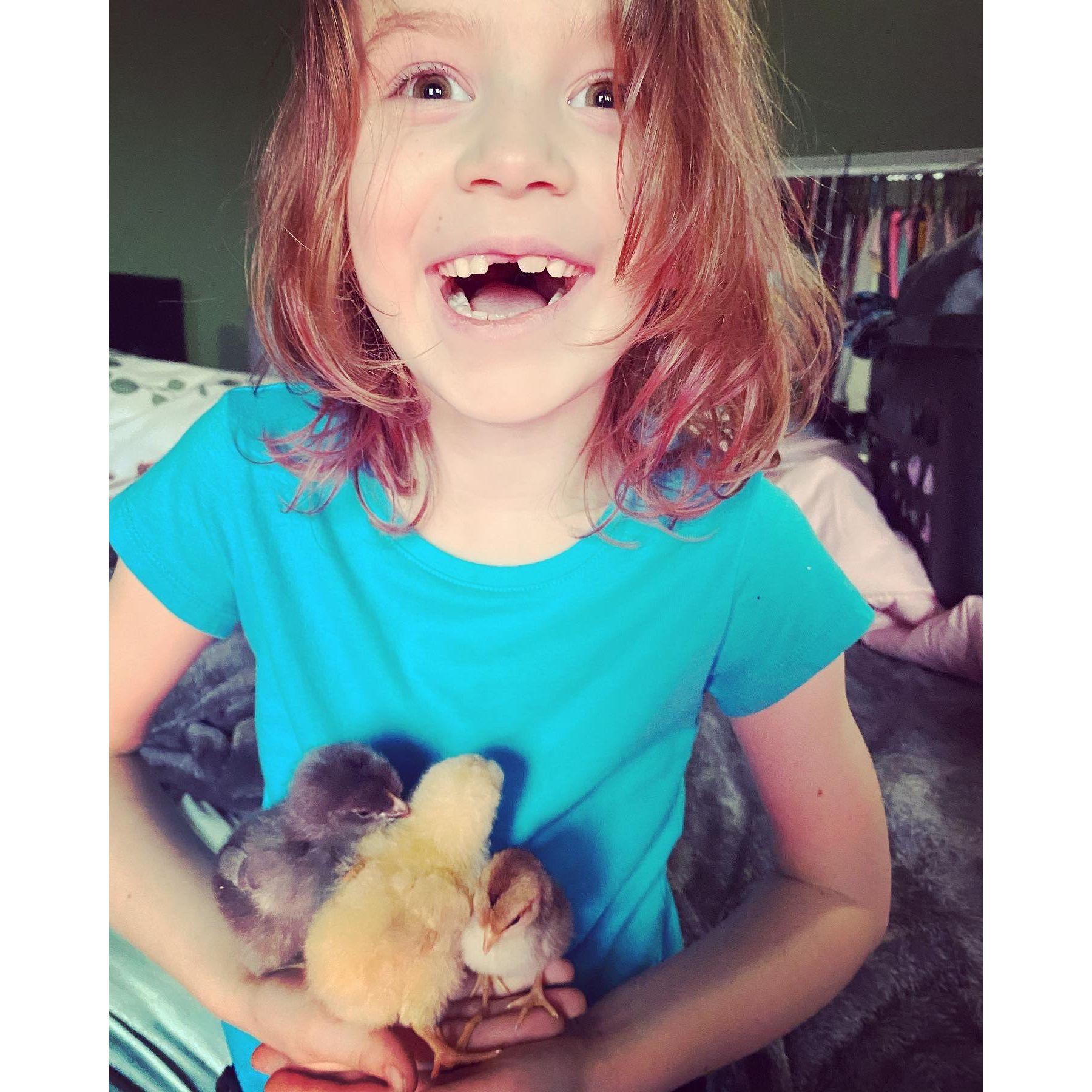 Khia meeting our chicks for the first time.