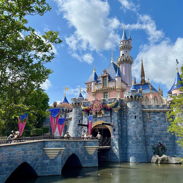 Disneyland honeymoon
