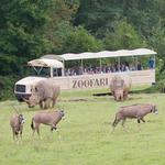 North Carolina Zoo