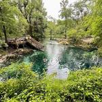 Madison Blue Spring State Park