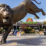 San Diego Zoo