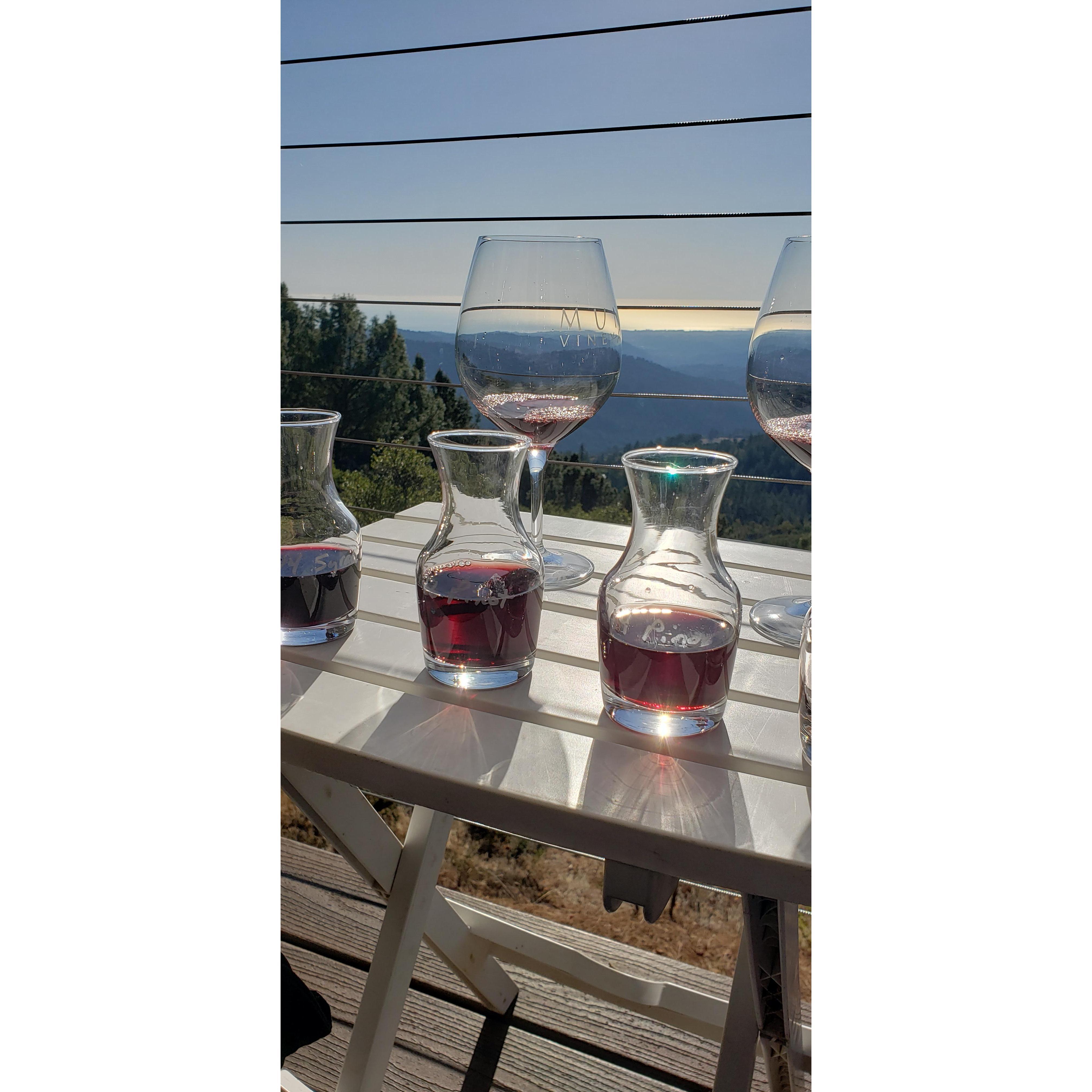 Muns Vineyard...our go to to get out of the hustle and bustle of Silicon Valley