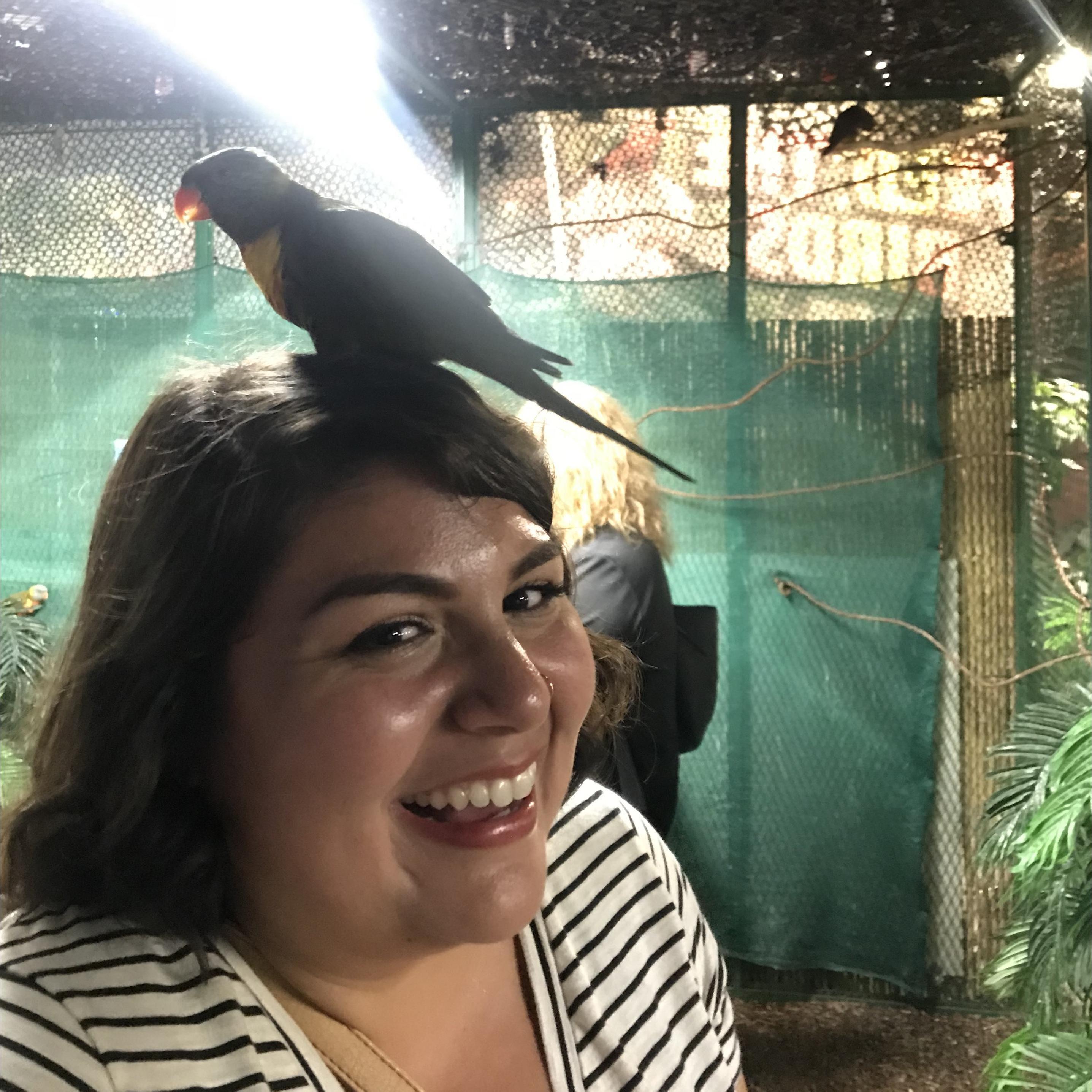 Rachael and I having a ball with the lorikeets!