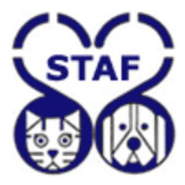 Save the Animals Foundation