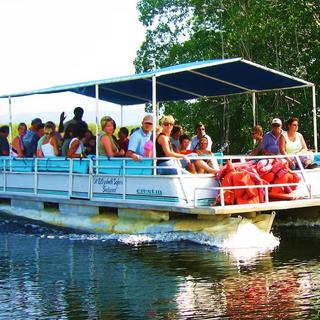 Black River Safari & YS Falls for 2 - Montego Bay