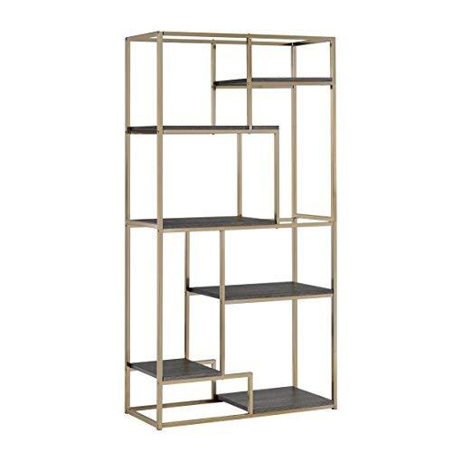 Furniture of America Corley Contemporary 6 Shelf Bookcase, Champagne