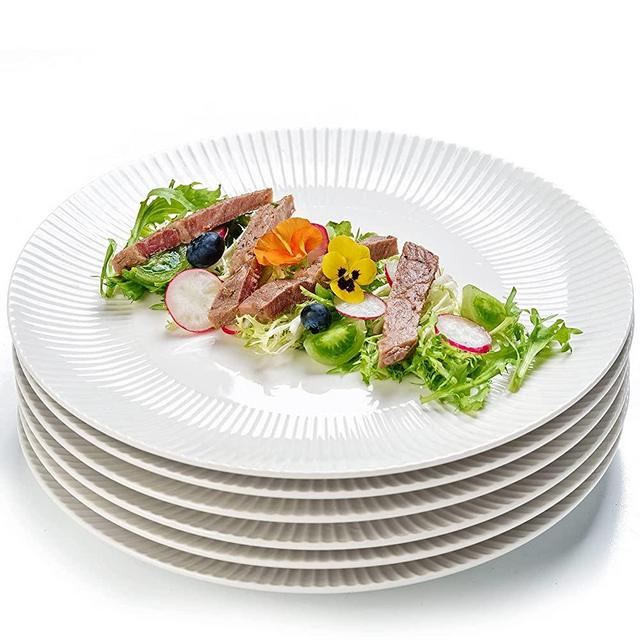 Getstar Dinner Plates Set of 6, Large 10.5 inch Ceramic Pasta Salad Plates Set, Microwave & Dishwasher Safe, Scratch Resistant, Kitchen Plates Serving Dishes (White)