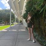 The Menil Collection