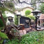 Forge in the Forest