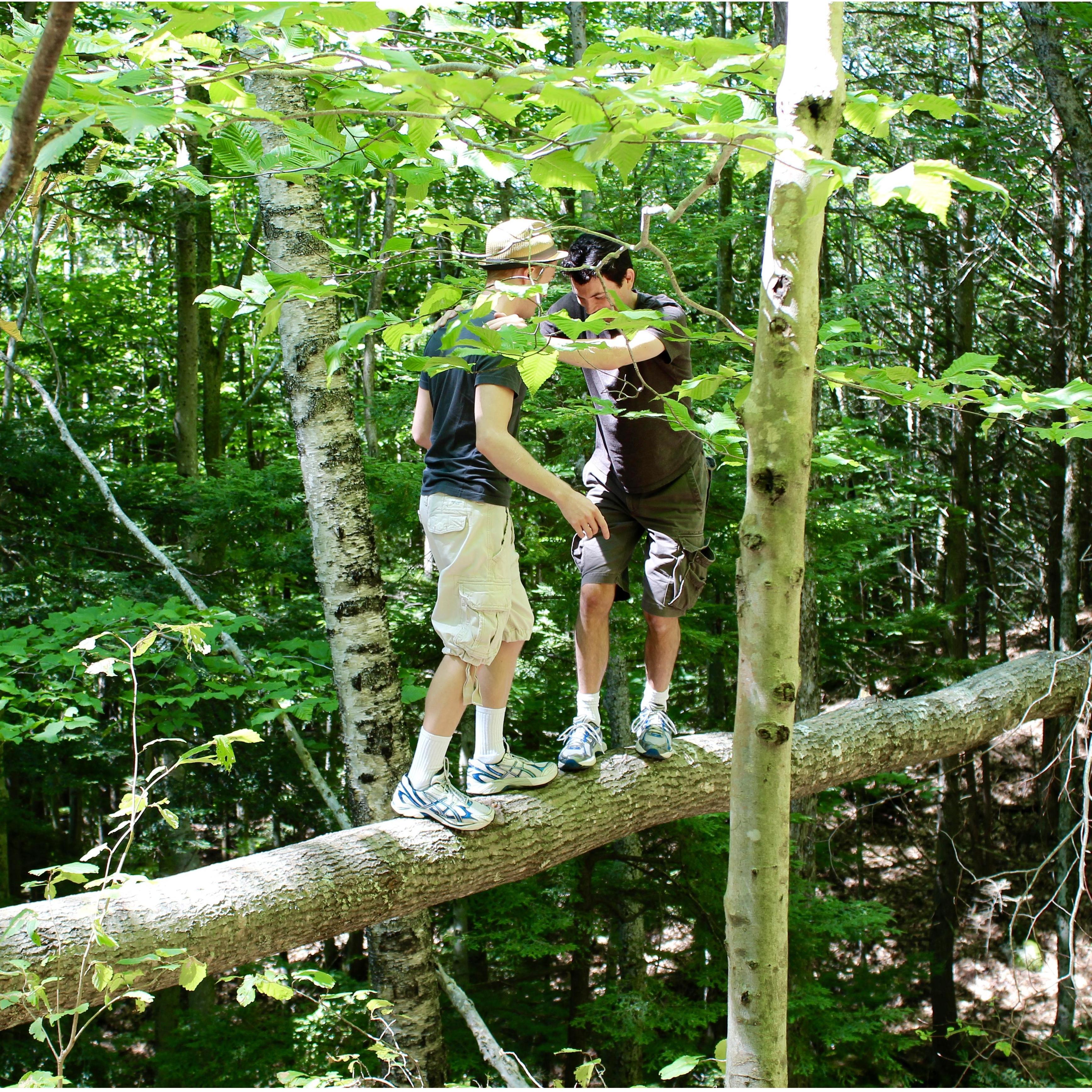 Hiking in Maine.  Summer, 2012