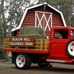 Beacon Hill Children's Farm