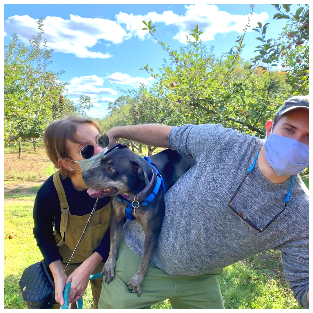 Apple Picking - Hudson, NY
October, 2020