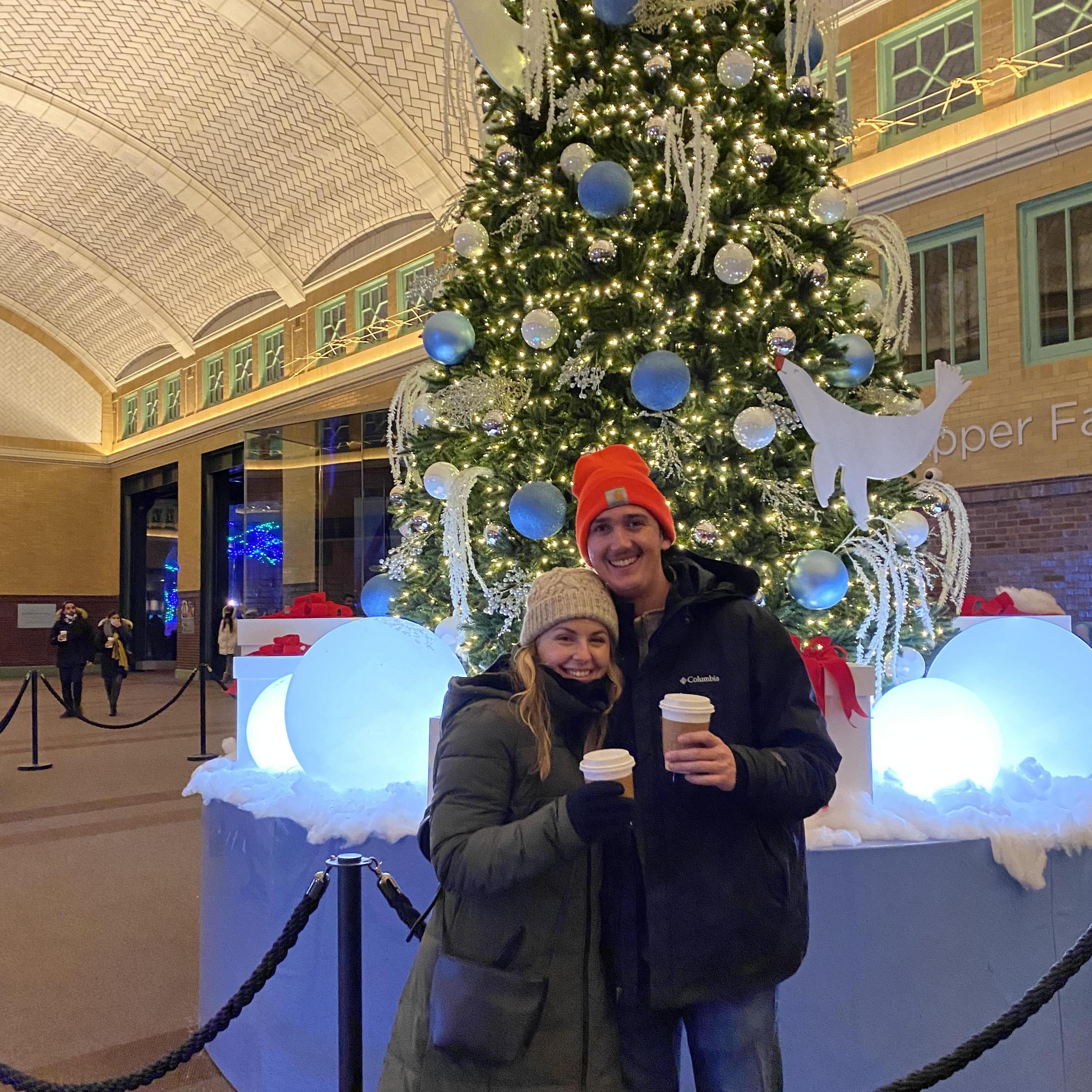 Lincoln Park Zoo Lights