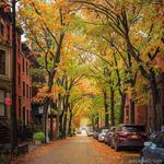 Brooklyn Heights
