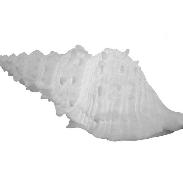 Light Up Frosted Glass Sea Shell, 18" x 9" x 7"