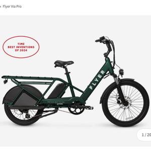 Family E-Bike