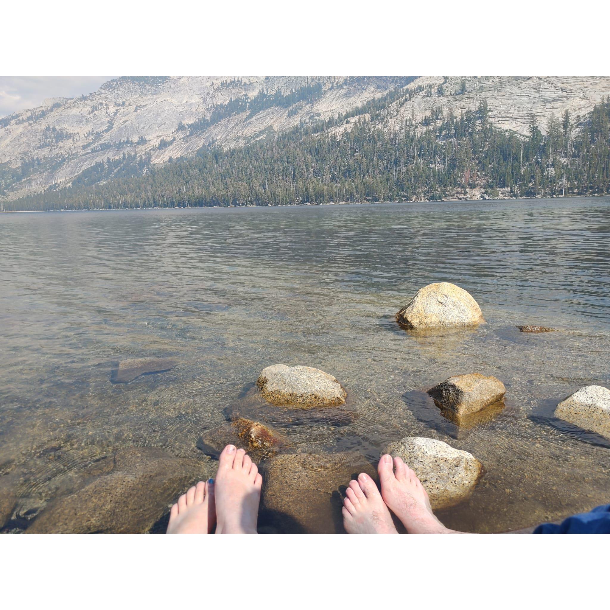A perfect spot for a picnic at Yosemite National Park - 2020
