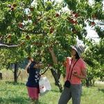 FAMILY-FRIENDLY: Fishkill Farms