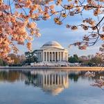 Tidal Basin