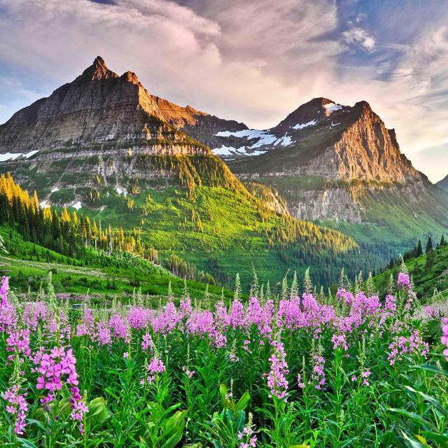 Make a Tribute Gift (National Park Foundation)