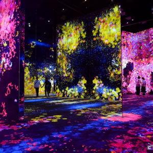 Digital Wonderland Tickets