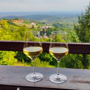 Wine Tasting