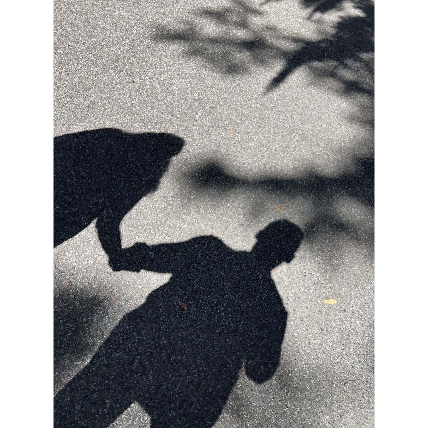 Patty and I had both been alone for five years before we started dating each other. I am so glad we have stepped into the light and now even our shadows look happy.