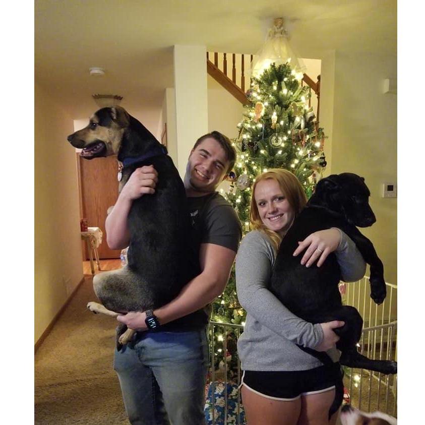 Family Engagement Photo