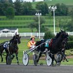 VERNON DOWNS HARNESS RACING