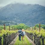 Visit Wine Country