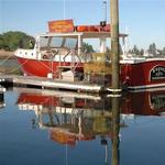 Rugosa Lobster Tours