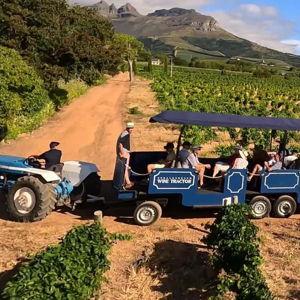 Wine Tasting South Africa