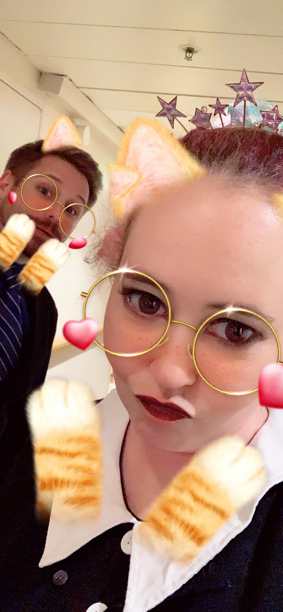 We are cats