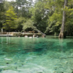 Ponce De Leon Springs State Park