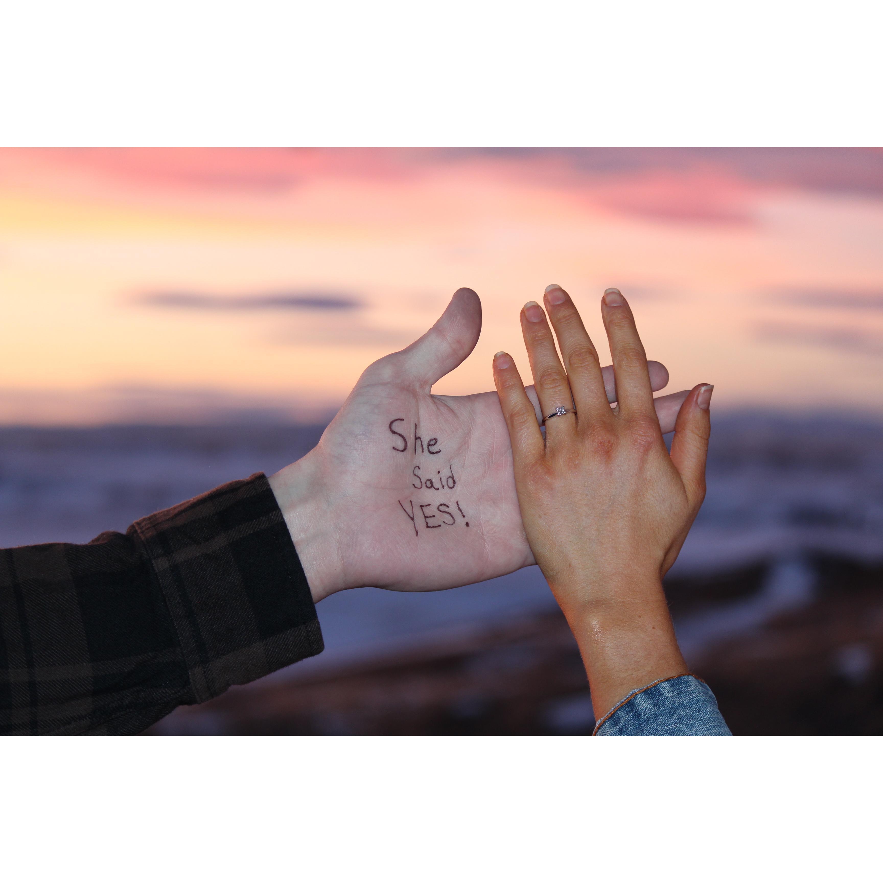 Our engagement pictures taken in Bozeman, MT, captured by Abby's lovely Aunt DeeAnn.