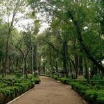 Parque México
