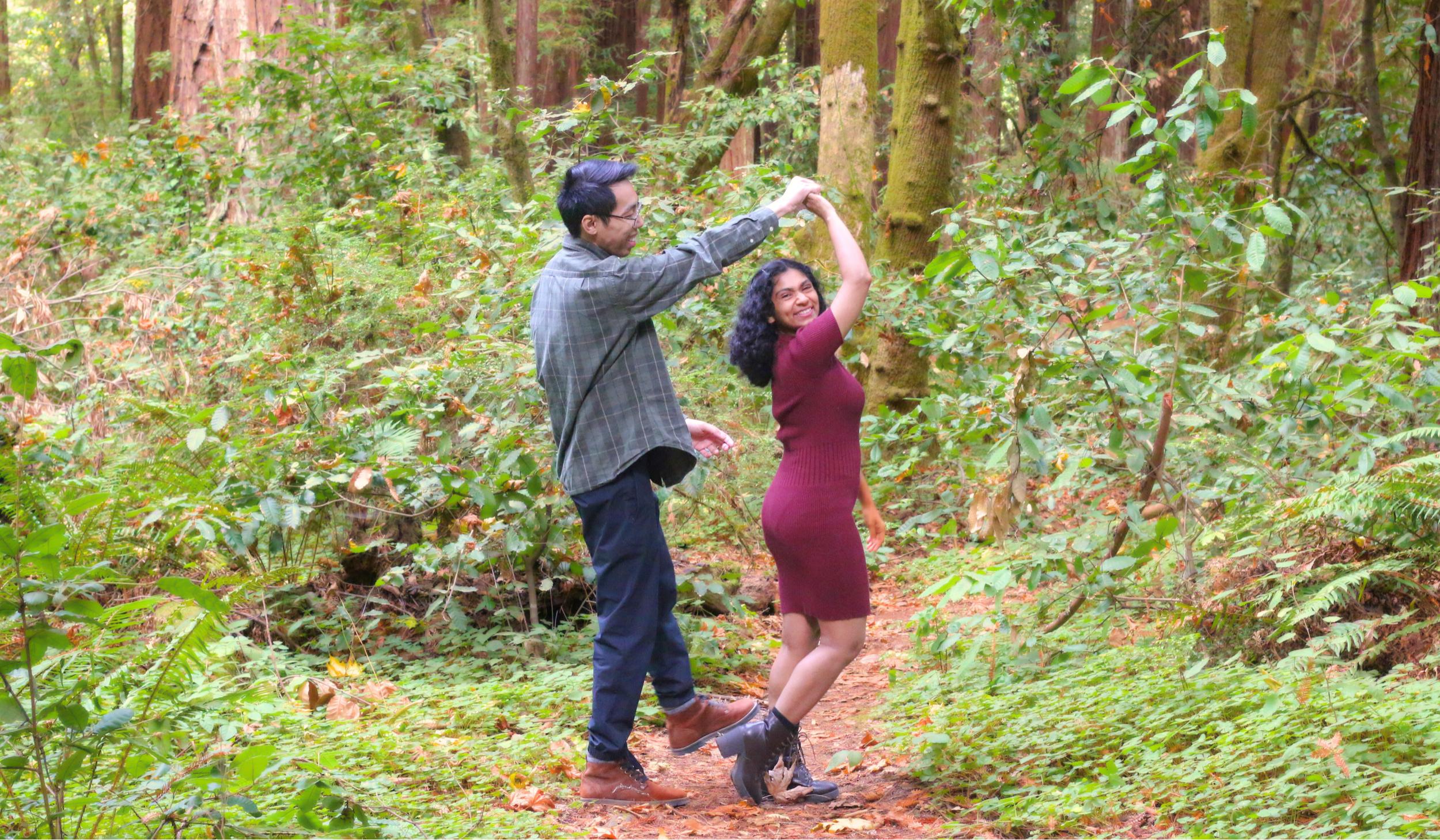 The Wedding Website of Nausheen Hussain and Vu Luu