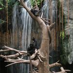 Omaha Zoo