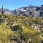 Outdoor Hiking & Exploring