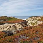 Fort Ord Dunes State Park