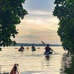 Mangrove Village Adventures
