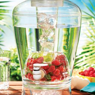 Ice & Fruit Infusing Beverage Dispenser