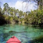 Weeki Wachee Springs State Park