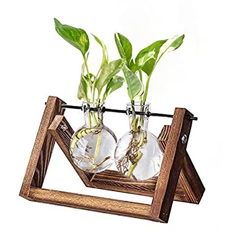 Kingbuy Glass Desktop Planter with Retro Wooden Stand and Plant Terrarium vase (2 Bulbs) for Indoor Office Desk Decor Accessories