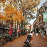 Charlottesville Downtown Mall