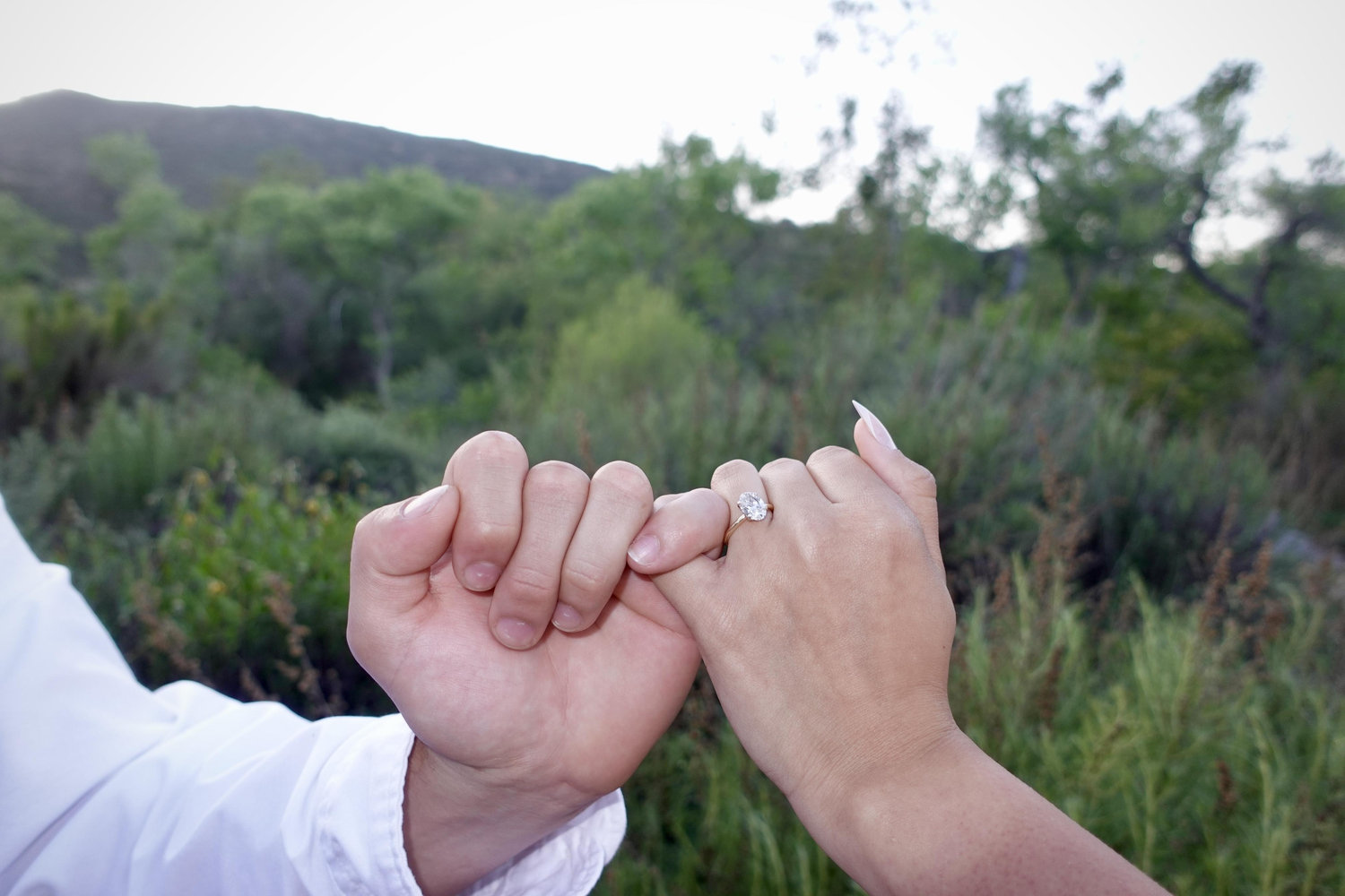 The Wedding Website of Emely Rodriguez and Angel Seaton-Msemaji