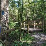 Hidden Waters Preserve