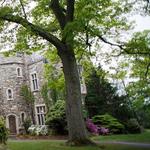 New Jersey Botanical Gardens
