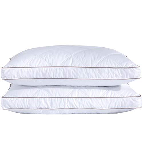 puredown Natural Goose Down Feather Sleeping 100% Cotton Pillow Cover Downproof, Standard/Queen, Gusseted 2 Pack