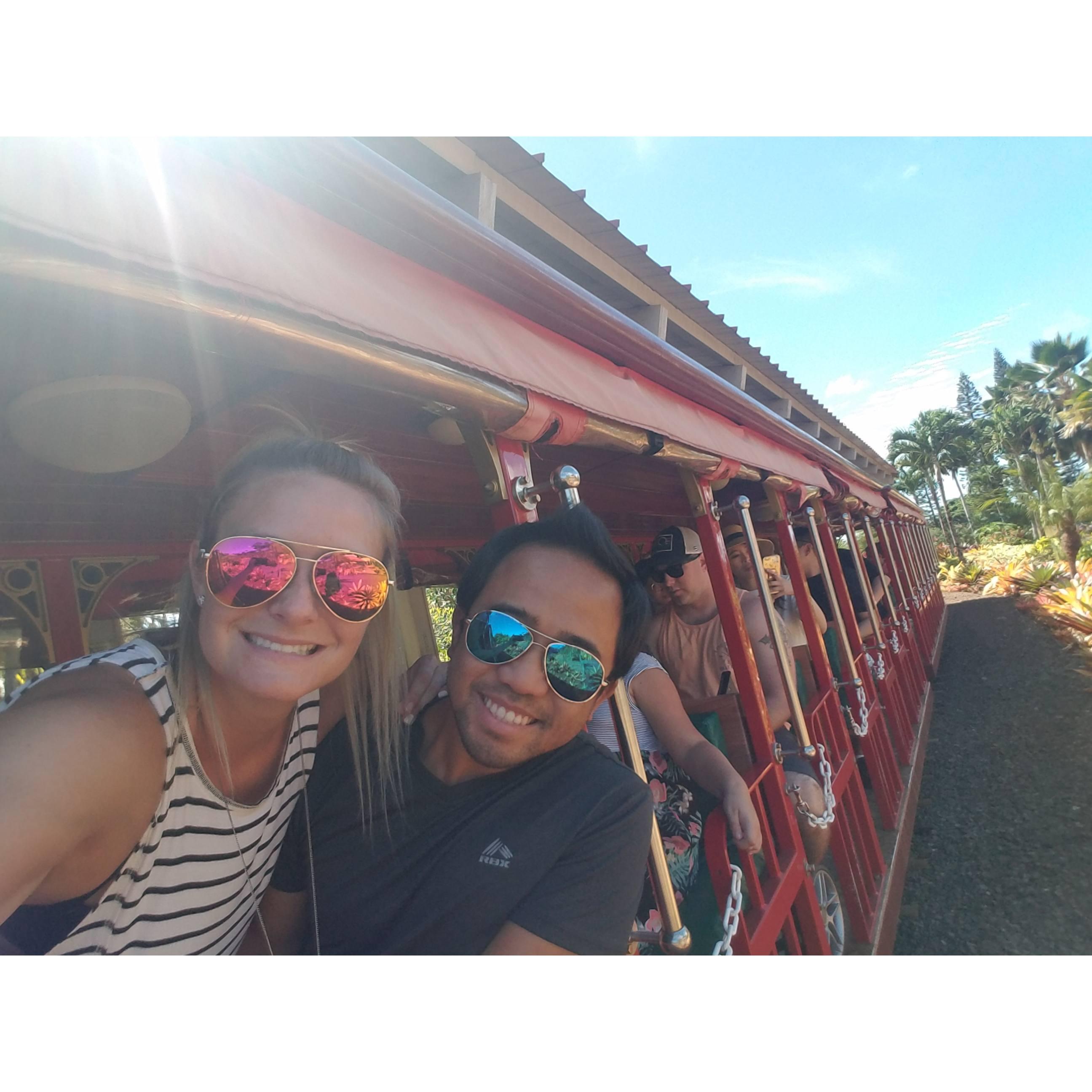 Aboard the Pineapple Express in Hi